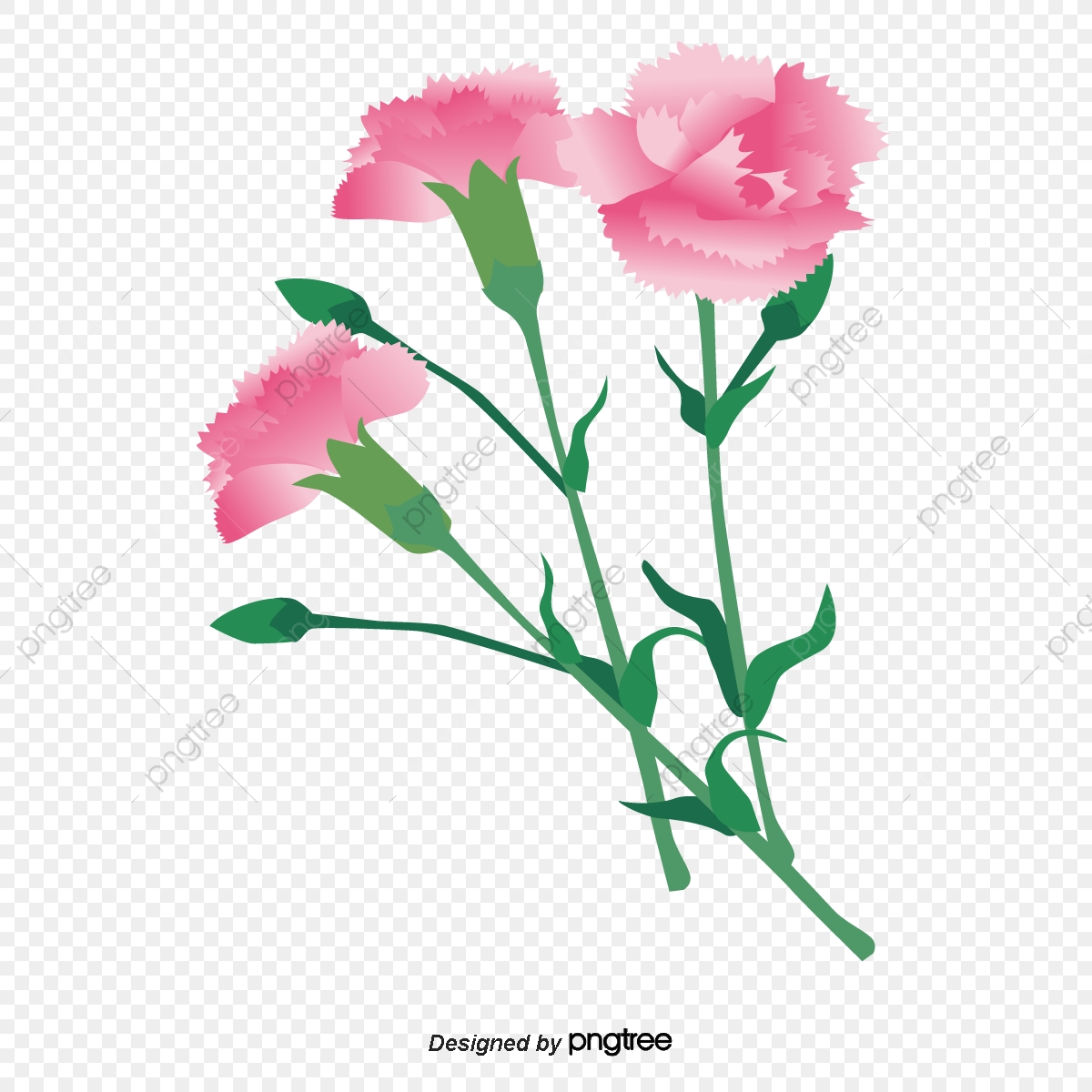 1200x1200 Pink Carnation Flower Micromimetic, Carnation, Mothers Day, Pink