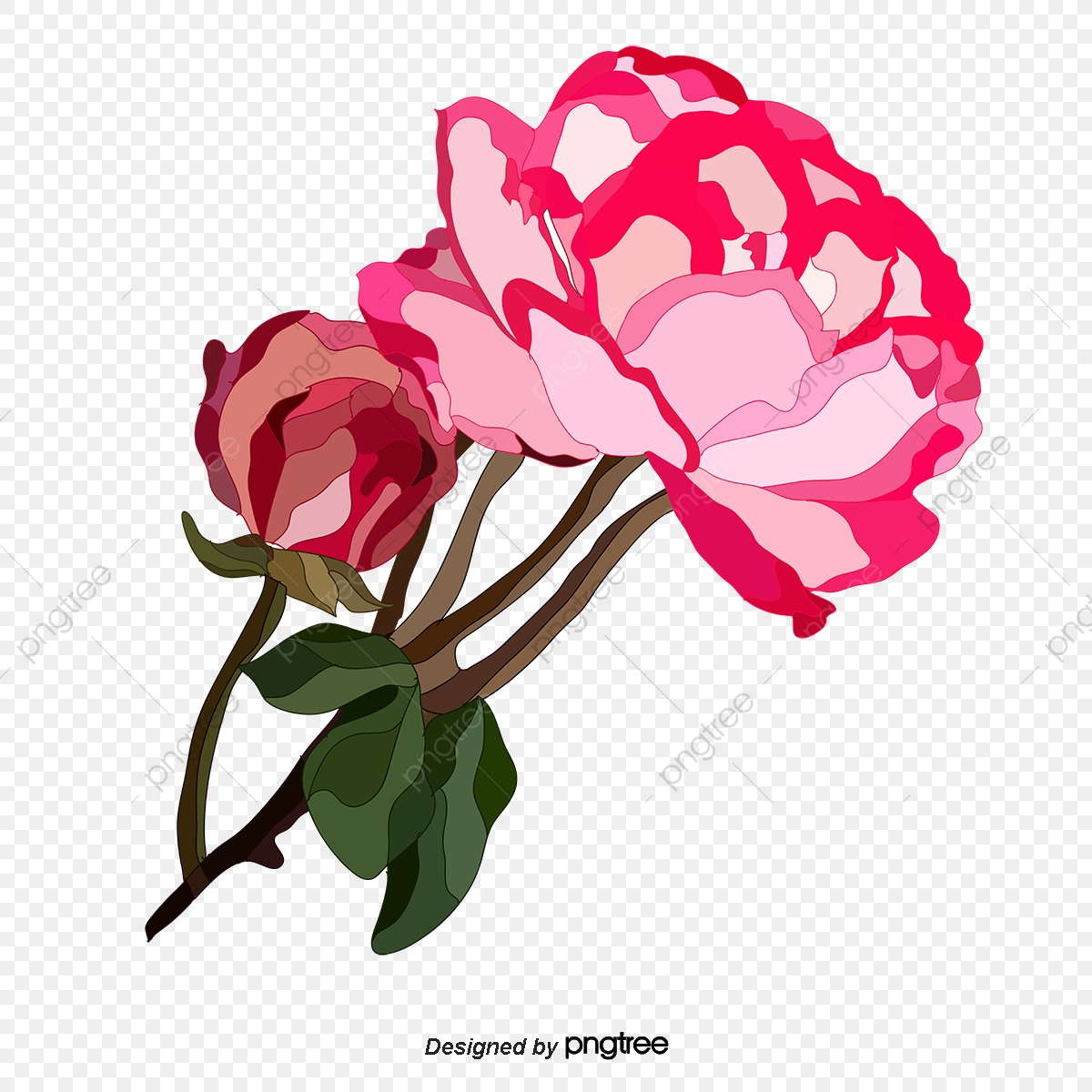 Carnation Flower Vector At Collection Of Carnation Flower Vector Free For 7111