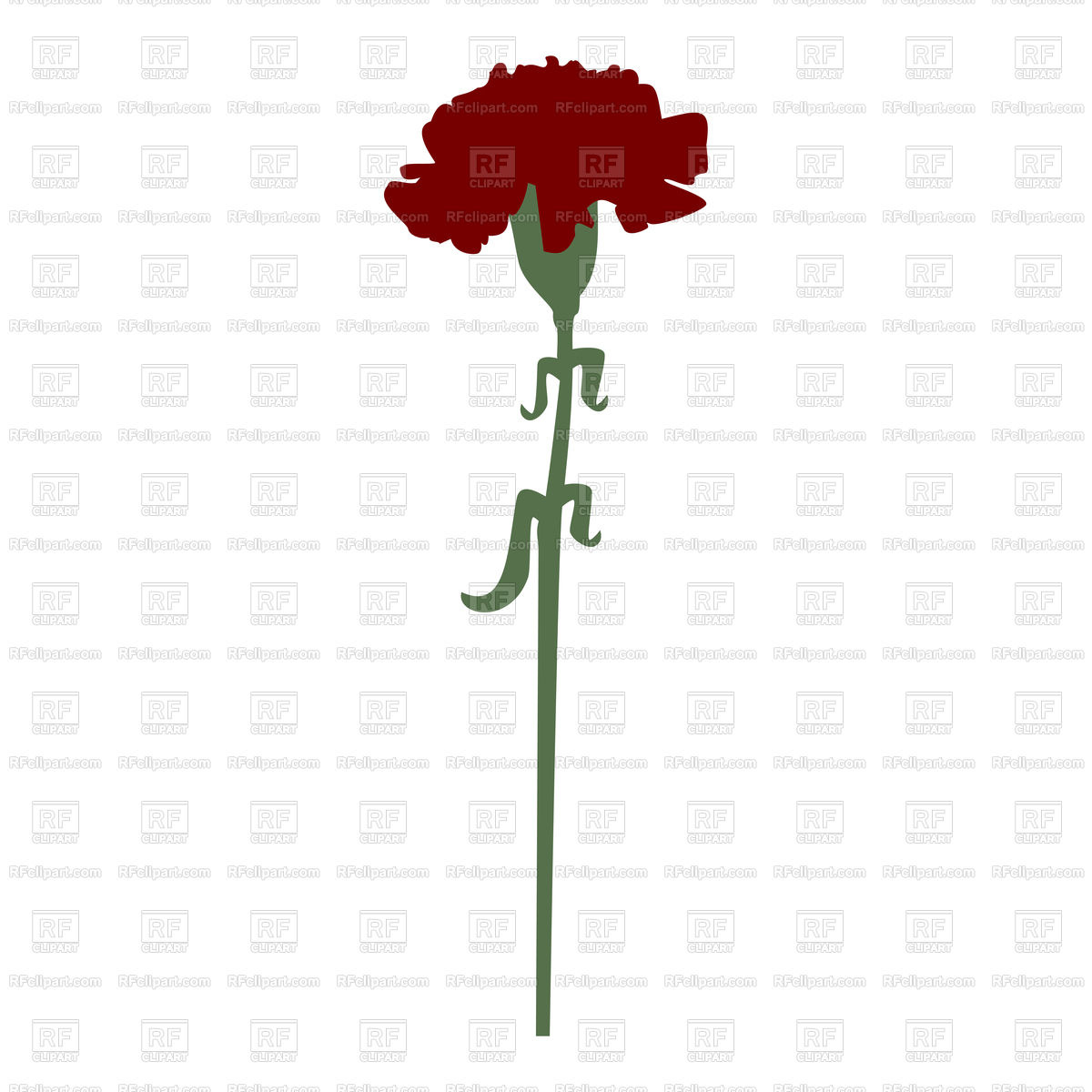 1200x1200 Carnation Flower Red Color Vector Image Of Plants And Animals