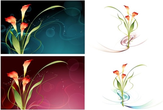 544x368 Carnation Flower Vector Free Free Vector Download
