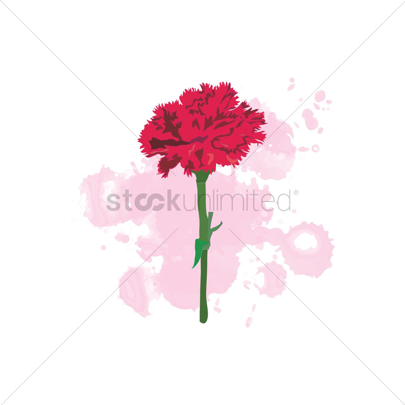1300x1300 Carnation Vector Image