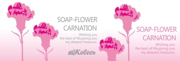 600x203 Carnation Flower Vector Free Free Vector Download