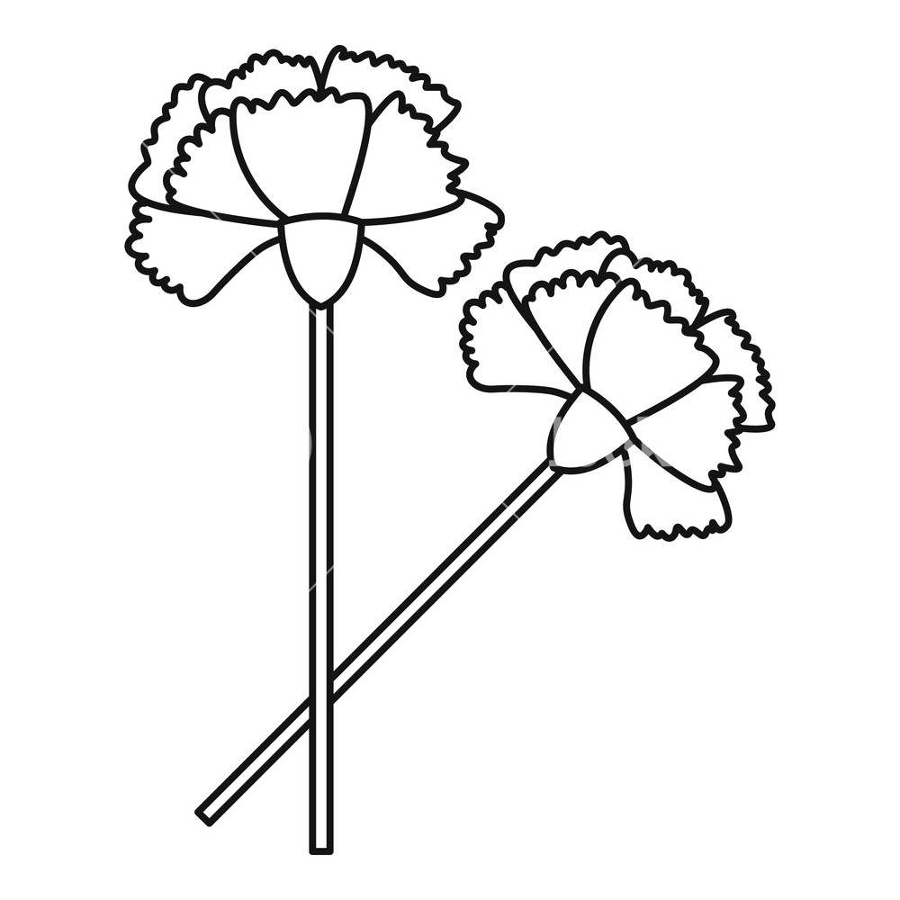 1000x1000 Carnation Icon Outline Illustration Of Carnation Vector Icon