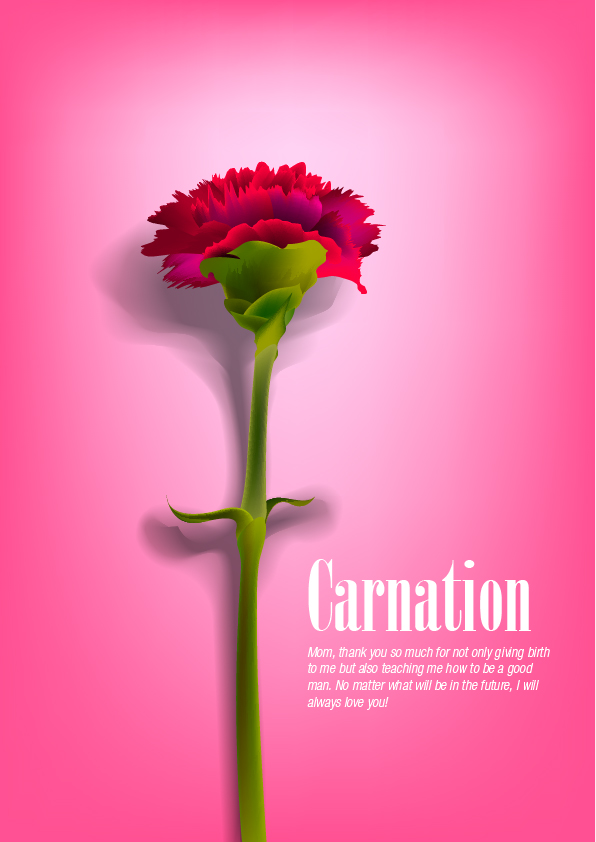 596x842 Carnation Free Vector Graphic Download