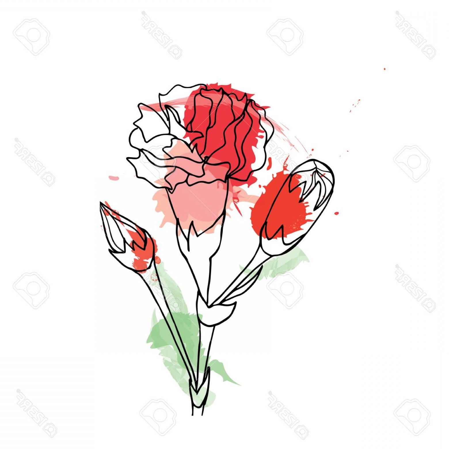 1560x1560 Photostock Vector Black And White Ink Hand Drawn Watercolor Vector