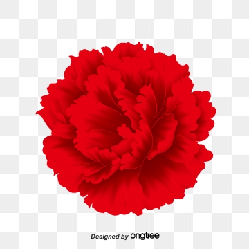 360x360 Red Carnation Png Images Vector And Free Download