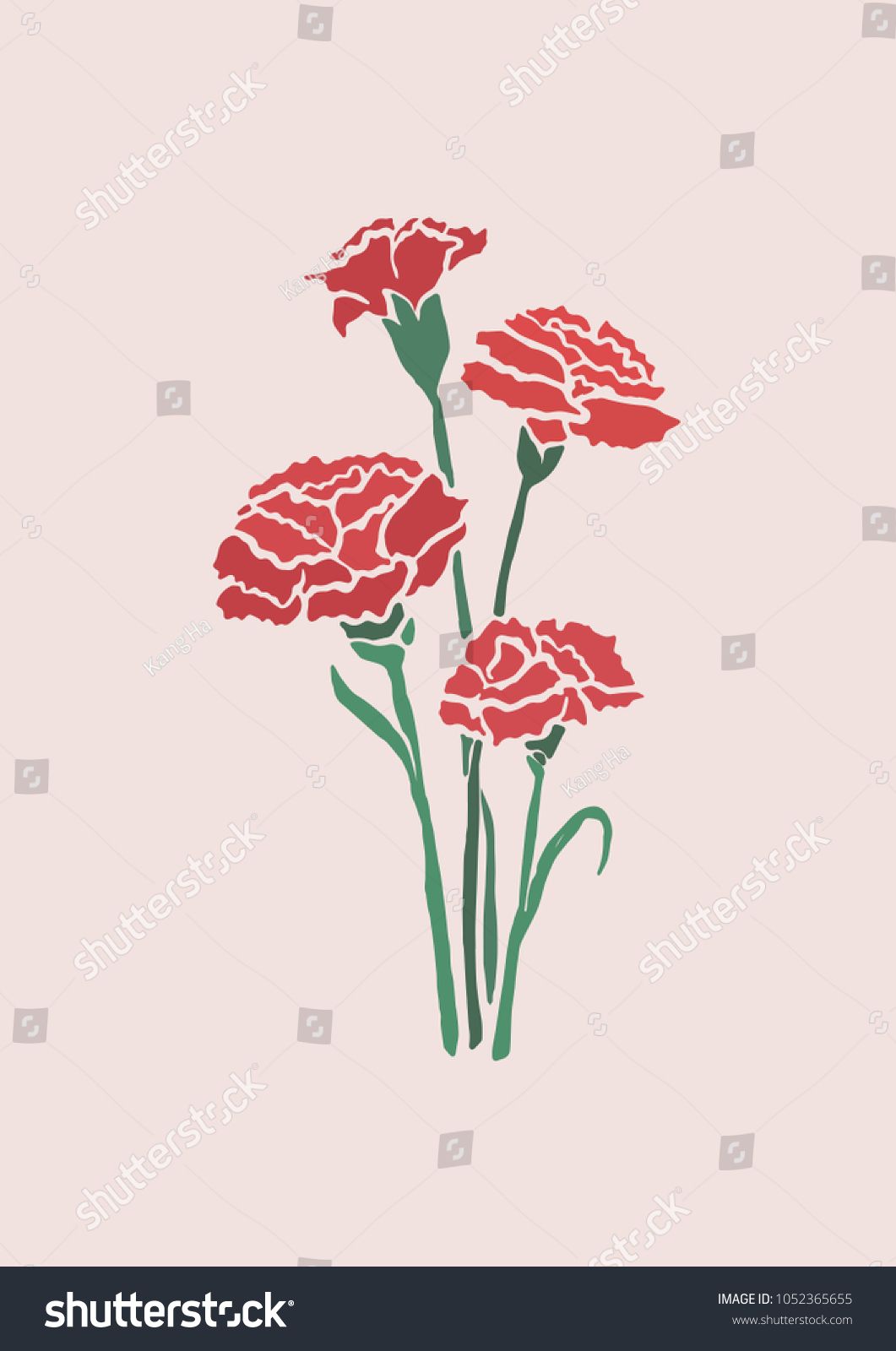 1061x1600 Vector Illustration Carnation Flowers Illustration With Color
