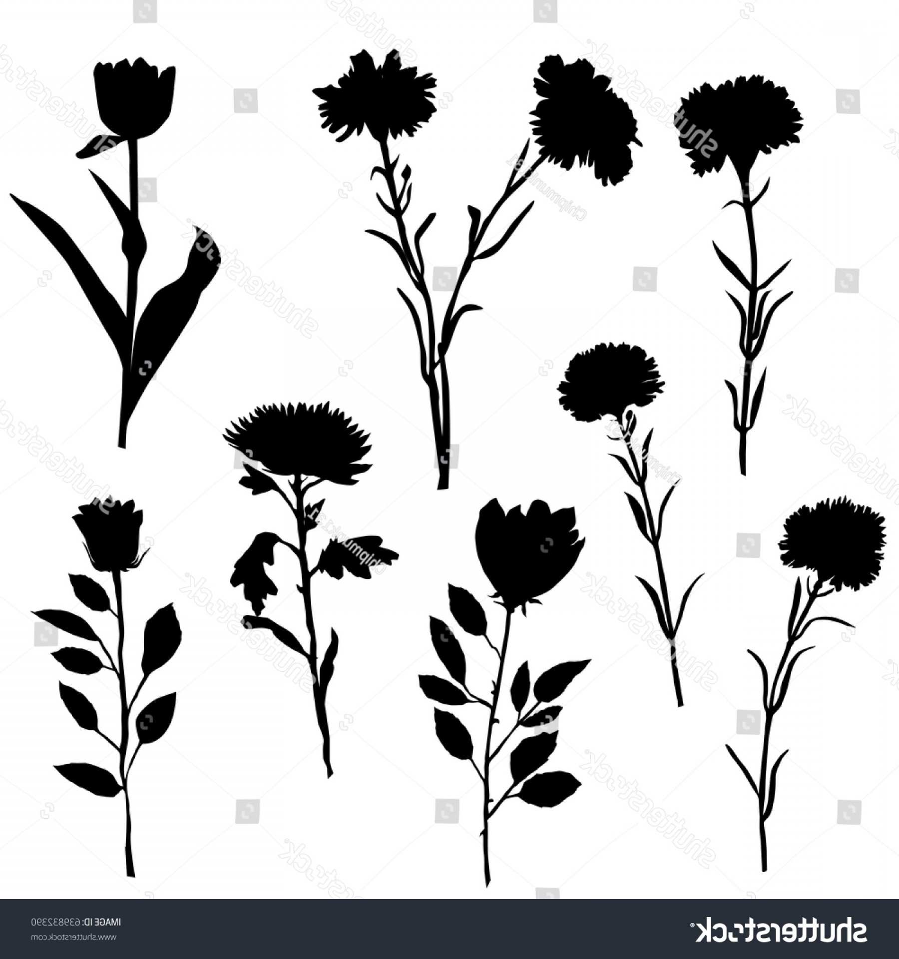 1800x1920 Vector Silhouette Flowers Carnations Chrysanthemums Tulip Soidergi