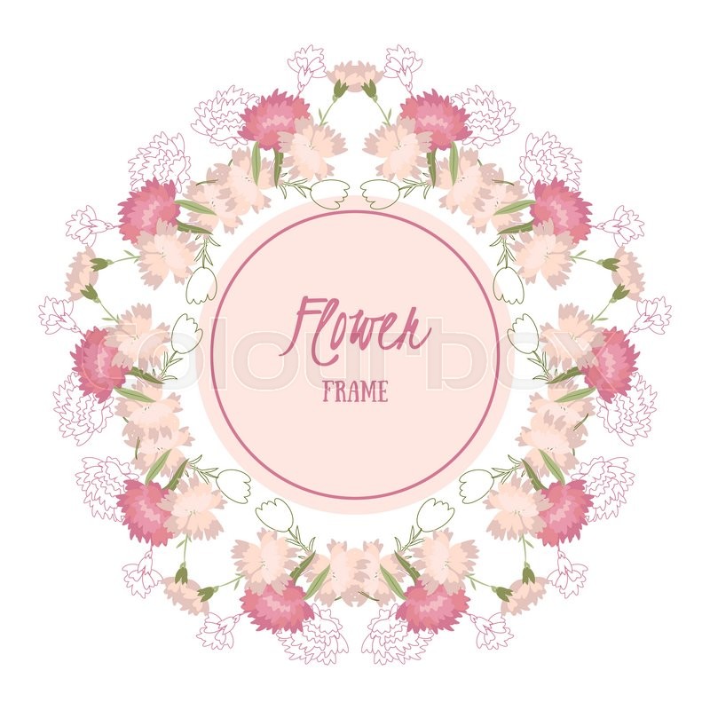 800x800 Vector Background With Flowers Carnation Stock Vector Colourbox