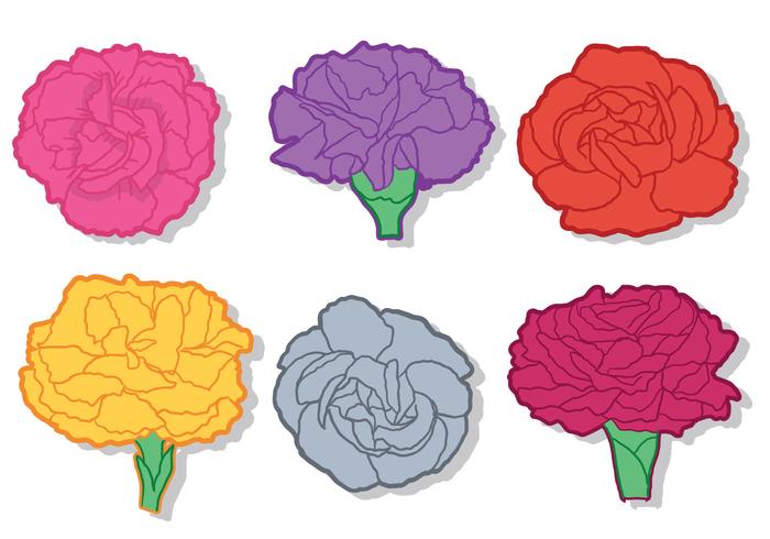 700x490 Carnation Free Vector Art