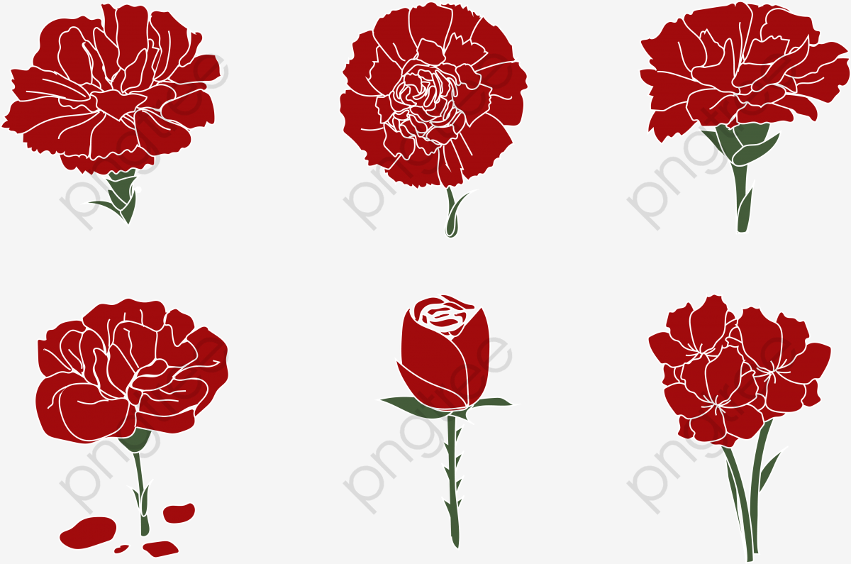 1200x795 Carnation Vector, Flowers, Greetings, Beautiful Png And Vector