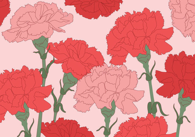 632x443 Carnation Vector Background Free Vector Download Cannypic