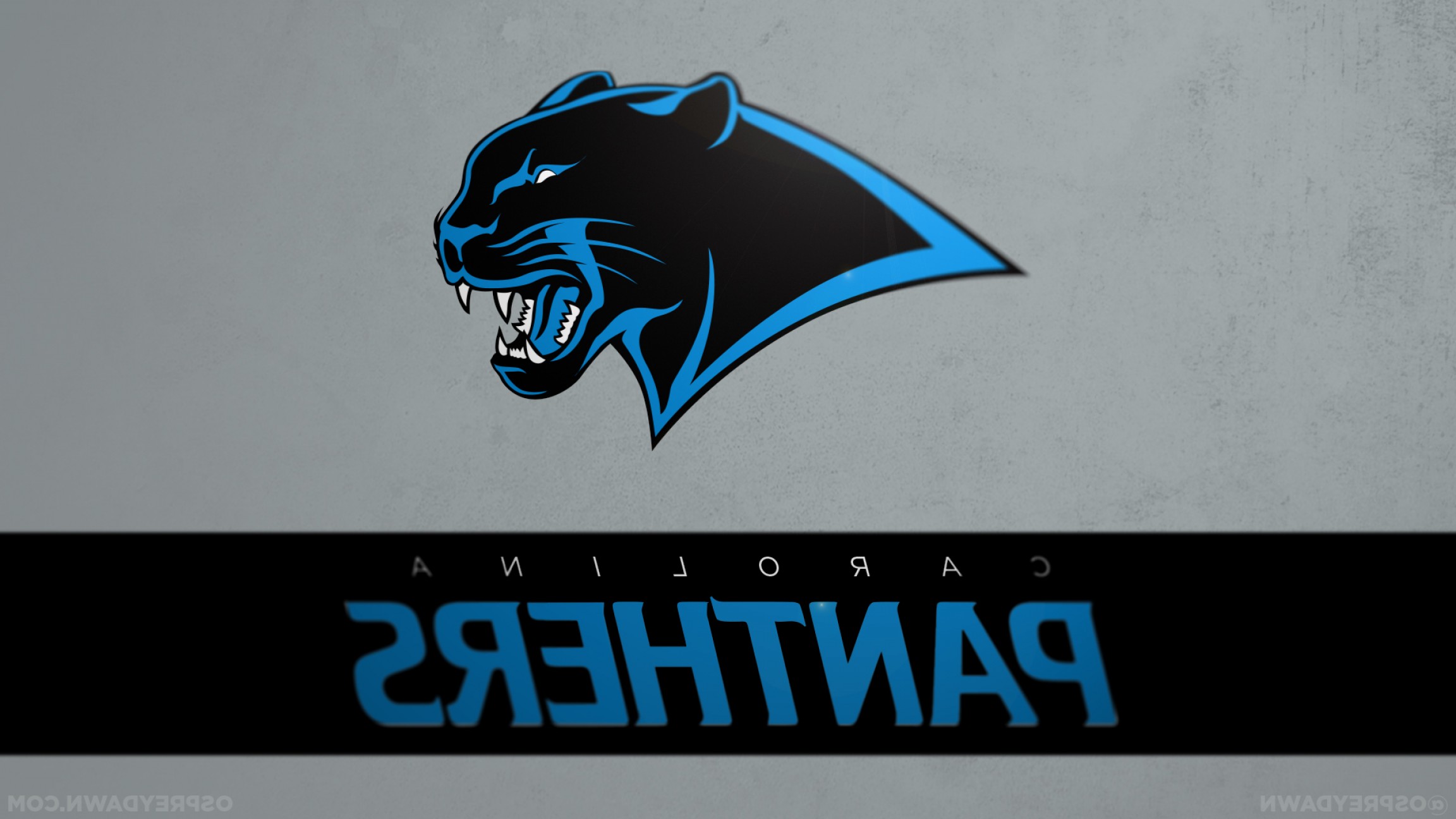 Carolina Panthers Logo Vector at Vectorified.com | Collection of ...