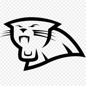300x300 Imjbththe Carolina Panthers Have Scored The Most Points Hoodamathrun