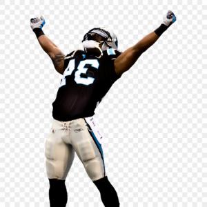 300x300 Seattle Seahawks Dfx Vector Cut Catchsplace