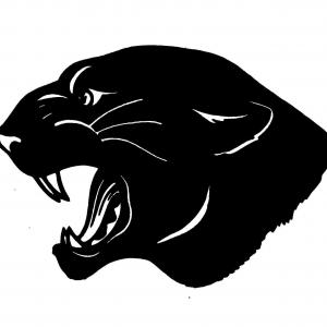 300x300 Carolina Panthers Logo Shaped Like States Catamart