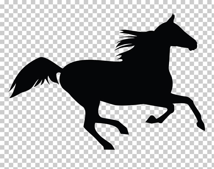 728x576 Carousel Horse Vector Png Cliparts For Free Download Uihere