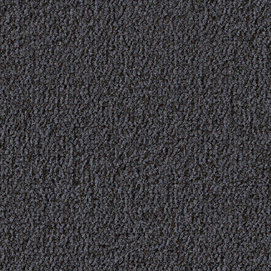 Carpet Texture Vector