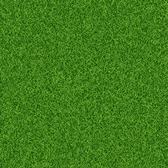 240x240 Carpet Texture Vector Photos, Royalty Free Images, Graphics