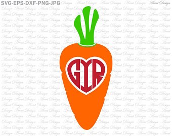 340x270 Carrot Vector Etsy