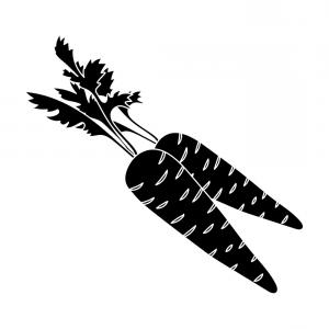300x300 Photostock Vector Carrot Black Simple Silhouette Icon Vector