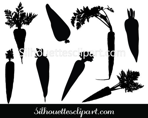 500x400 Carrot Vector Graphics Agriculture Vector Vector Graphics