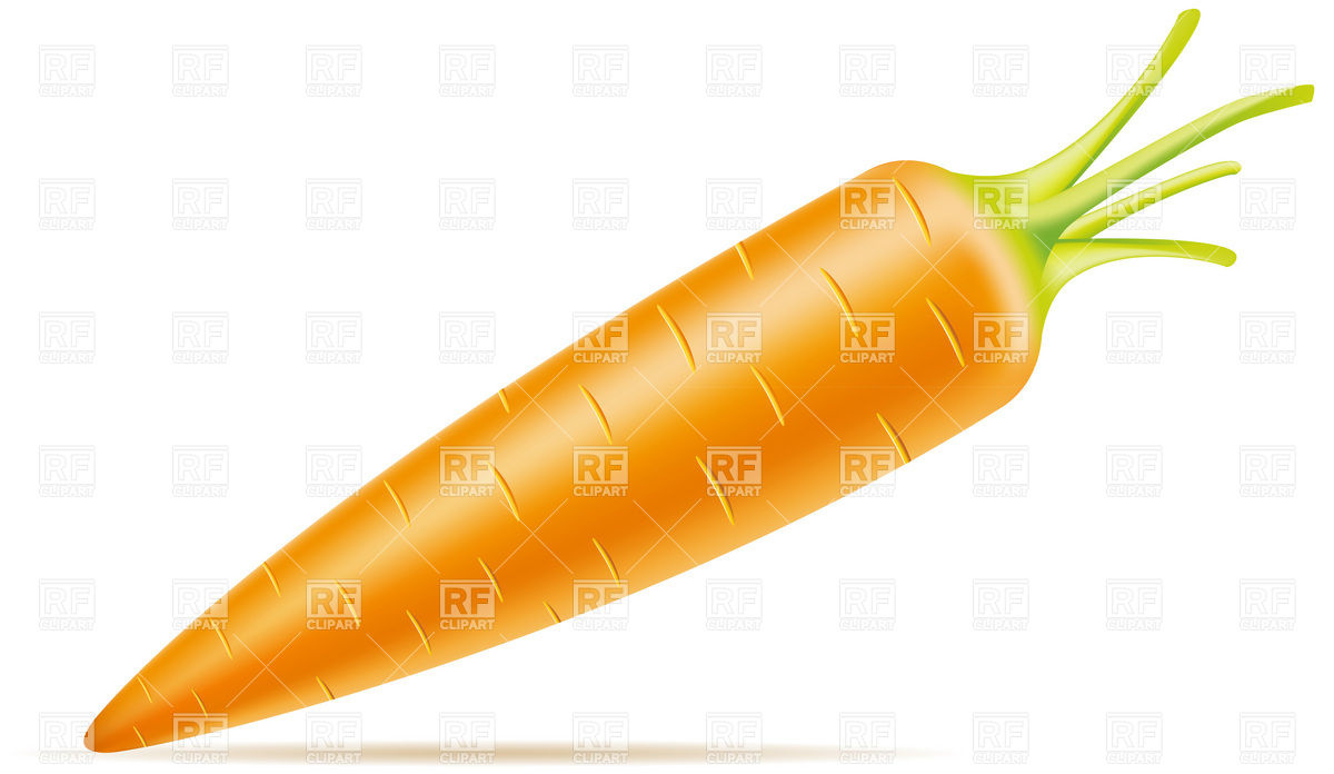 1200x696 Carrot Vector Image Of Food And Beverages Konturvid