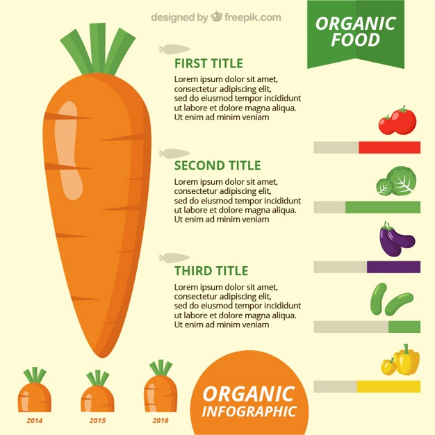 626x626 Carrot Vectors, Photos And Free Download