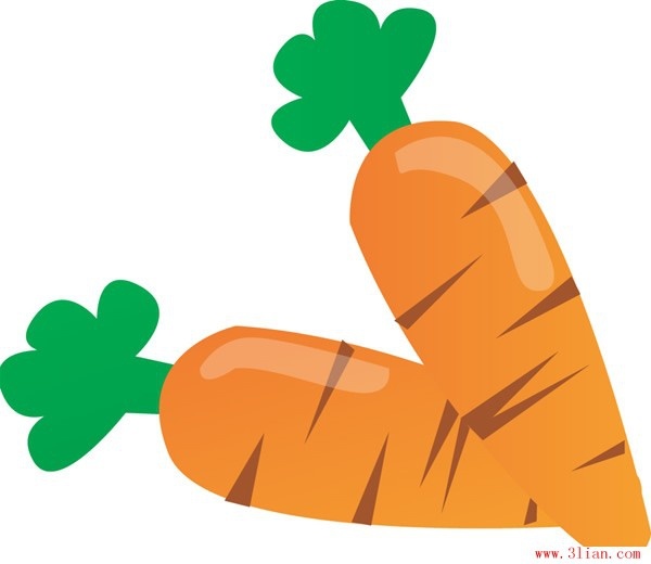 600x520 Carrot Vector Free Vector In Adobe Illustrator