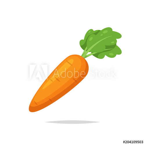 500x500 Carrot Vector Isolated