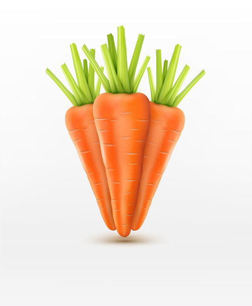 500x606 Realistic Carrot Vector Material Free Download