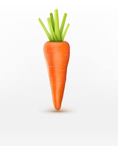 500x617 Realistic Carrot Vector Material Free Download