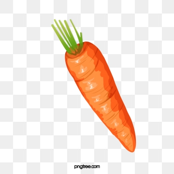 360x360 Carrot Png, Vector, And Clipart With Transparent Background