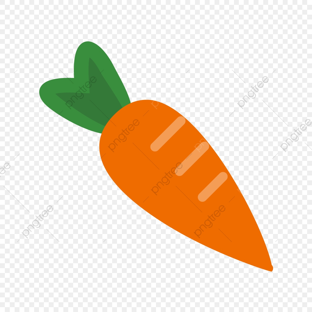 1024x1024 Carrot Vector Icon, Carrot Icon, Carrots Icon, Food Icon Png
