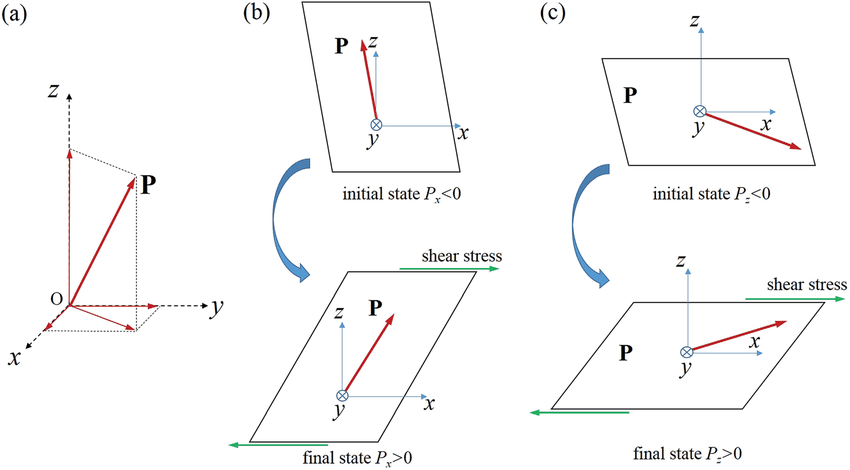 850x470 A Schematic Of A Polarization Vector In A Cartesian Coordinate