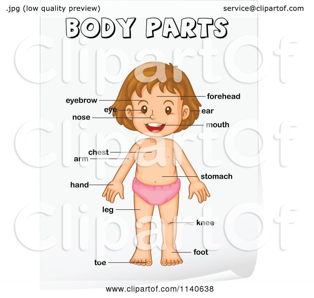 Cartoon Body Parts Vector At Collection Of Cartoon