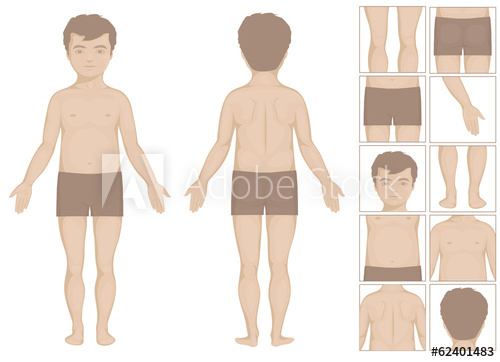 Human Or Boy Body Parts, Vector Cartoon Illustration For Kids 500x362 Human Or Boy Body Parts, Vector Cartoon Illustration For Kids