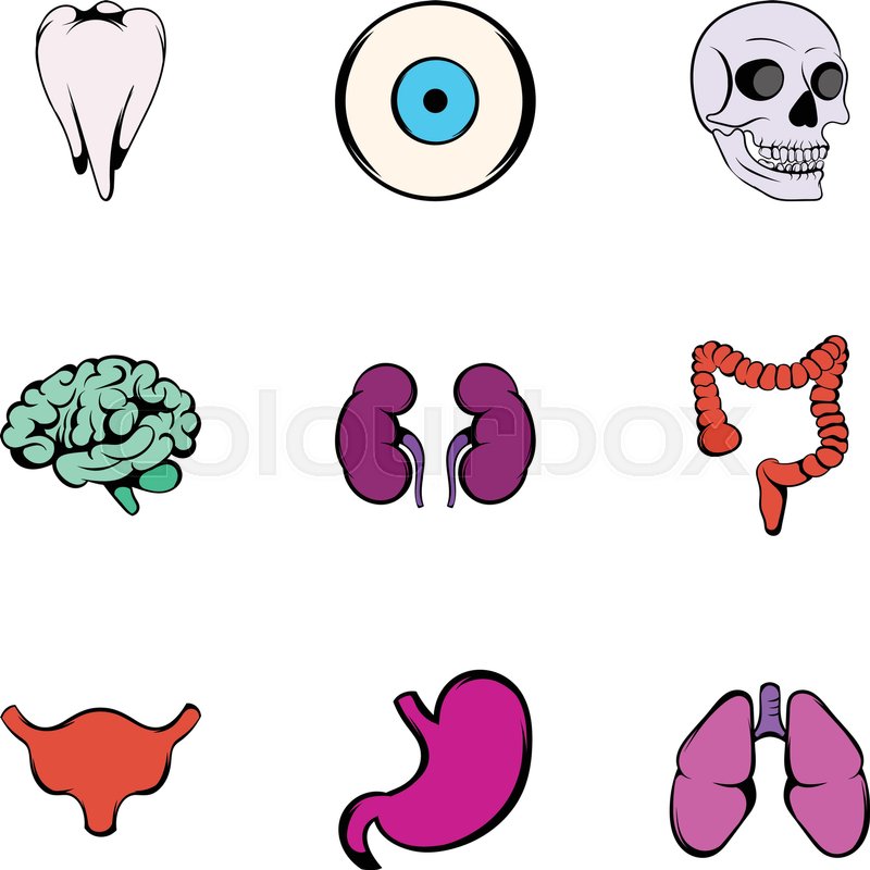 Body Parts Icons Set Cartoon Stock Vector Colourbox 800x800 Body Parts Icons Set Cartoon Stock Vector Colourbox
