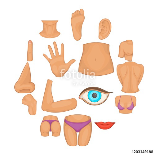 Cartoon Body Parts Vector at Vectorified.com | Collection of Cartoon ...