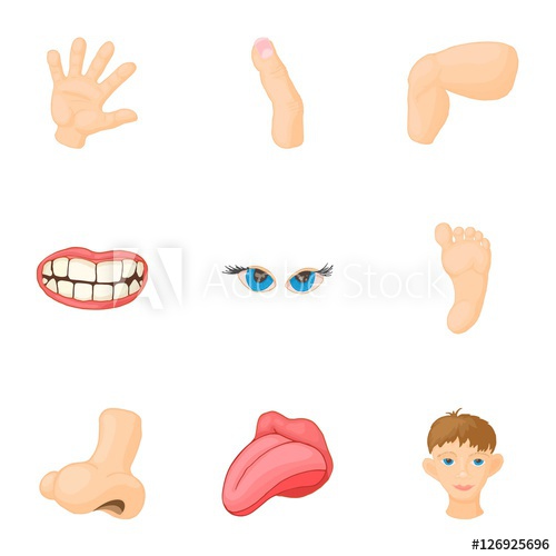 Body Parts Icons Set Cartoon Illustration Of Body Parts Vector 500x500 Body Parts Icons Set Cartoon Illustration Of Body Parts Vector