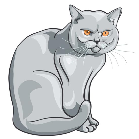 550x550 Cartoon Cat Vector Design