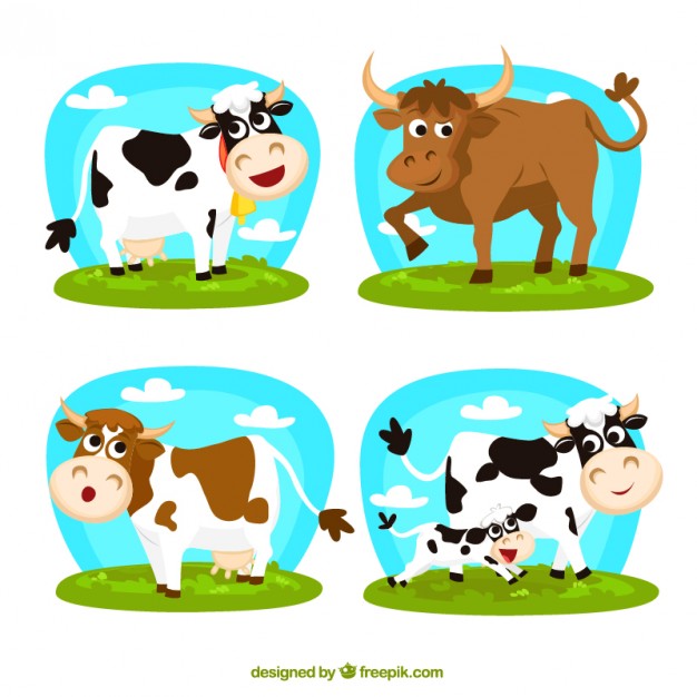 626x626 Cartoon Cows Vector Free Download