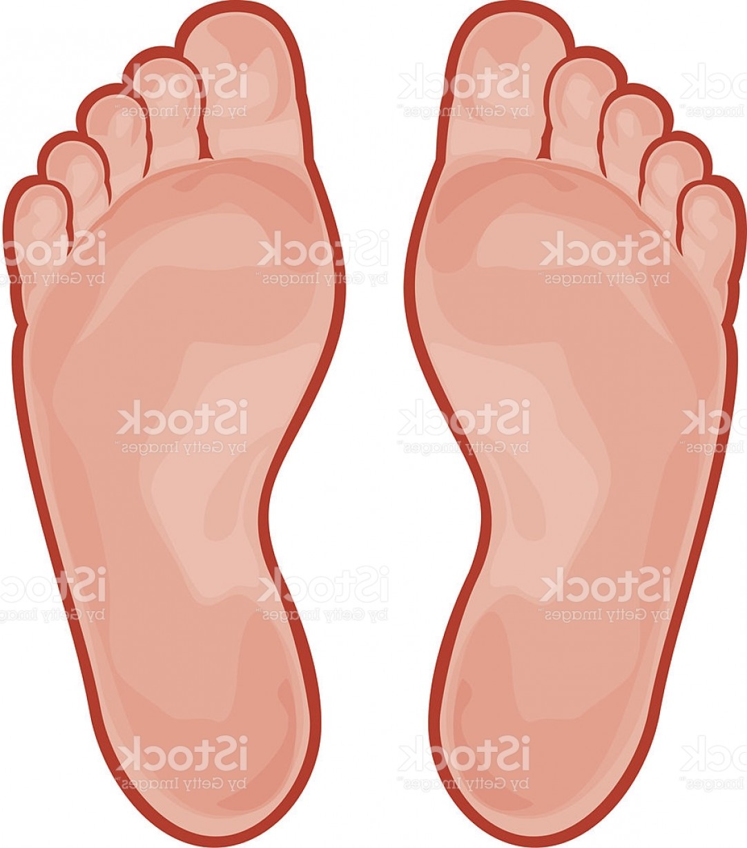 Feet Vector Art Geekchicpro 1082x1228 Feet Vector Art Geekchicpro