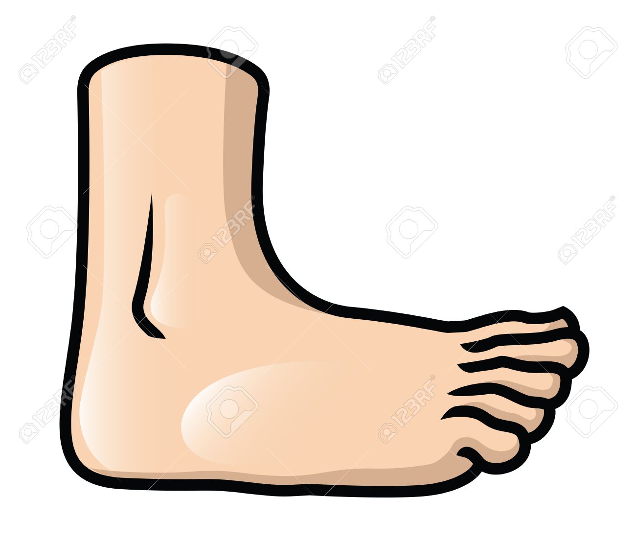 Foot Clipart Vector Illustration For Free Download And Use Images 1300x1113 Foot Clipart Vector Illustration For Free Download And Use Images