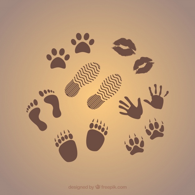 Footprint Vectors, Photos And Free Download 626x626 Footprint Vectors, Photos And Free Download