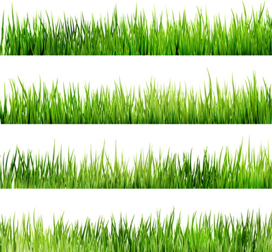 397x368 Cartoon Grass Border Free Vector Download