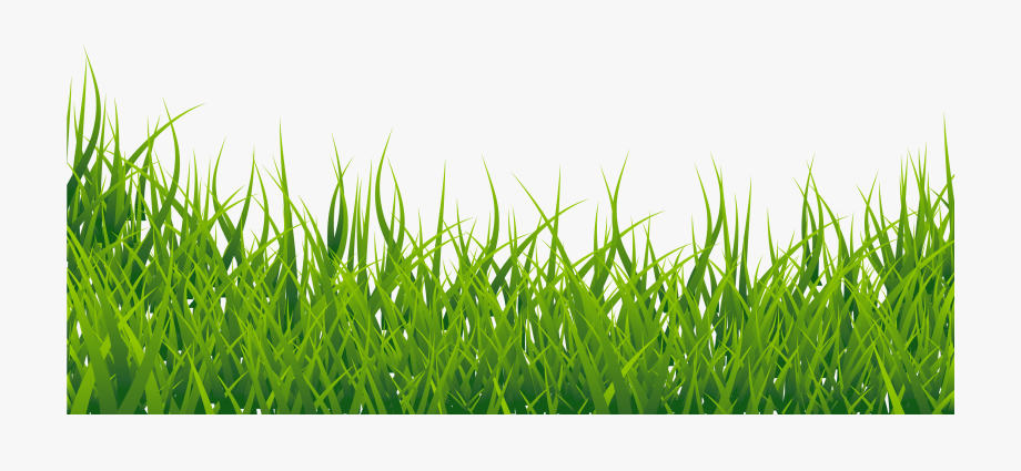 920x425 Grass Vector