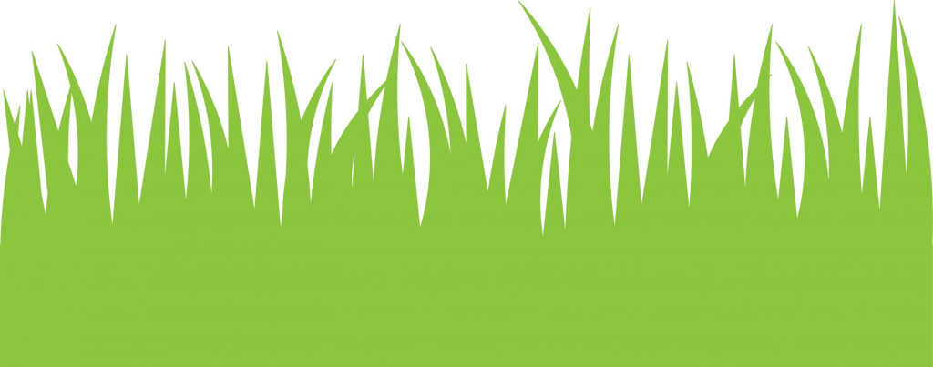 1024x403 Grass Vector Png, Png Collections