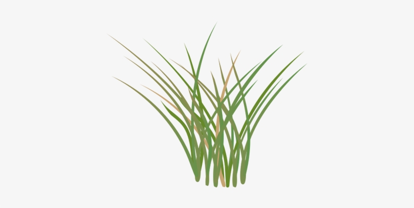 820x413 Grass Vector Png Cartoon Grass Field Image