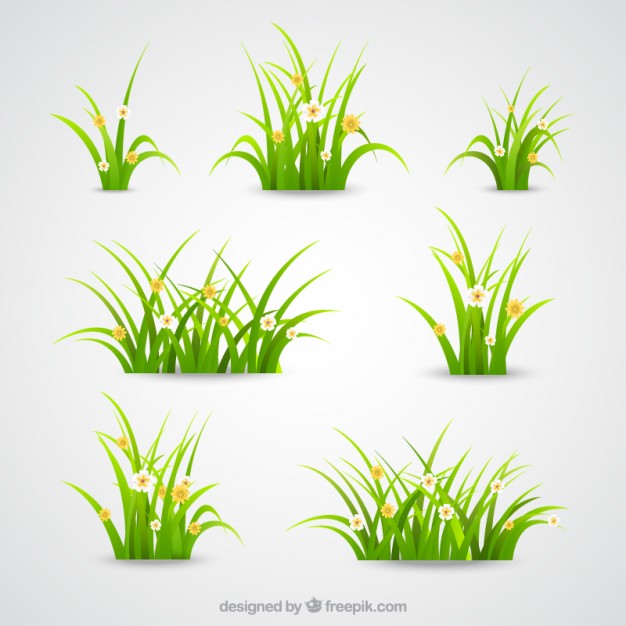626x626 Grass Vectors, Photos And Free Download